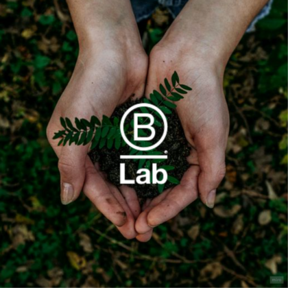 B Lab logo picture